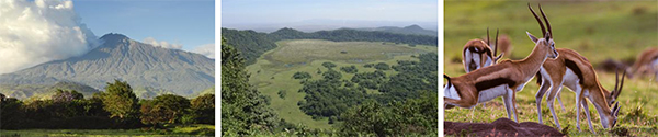 Arusha - Tanzania