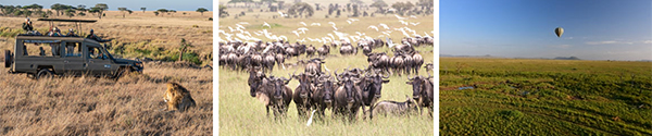Seronera - Tanzania