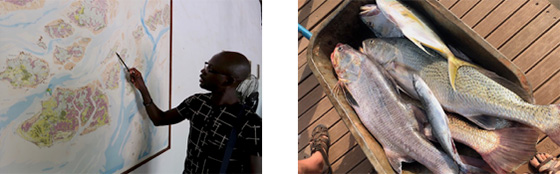 West Africa: Guinea-Bissau and Senegal Trip Report - Reported by Brooke Berlin