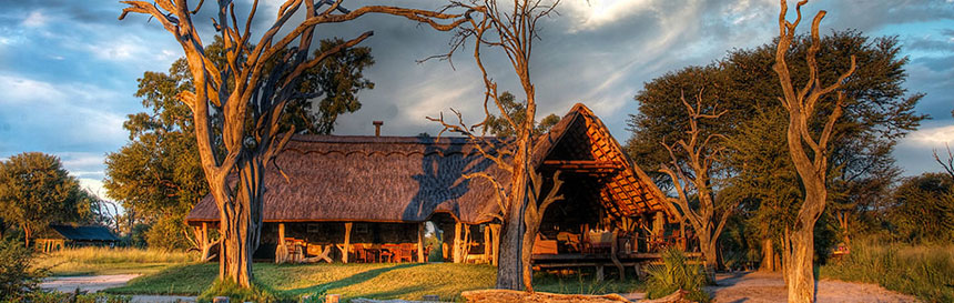 Jozibanini Camp - Hwange National Park - Zimbabwe Safari Camp